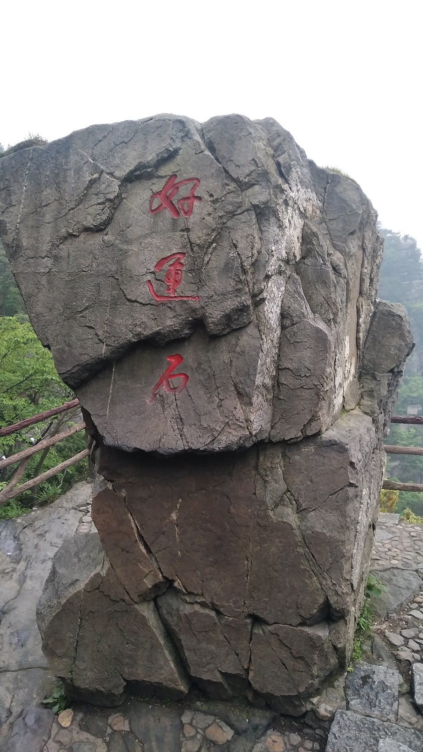 微信图片_20190606144520.jpg