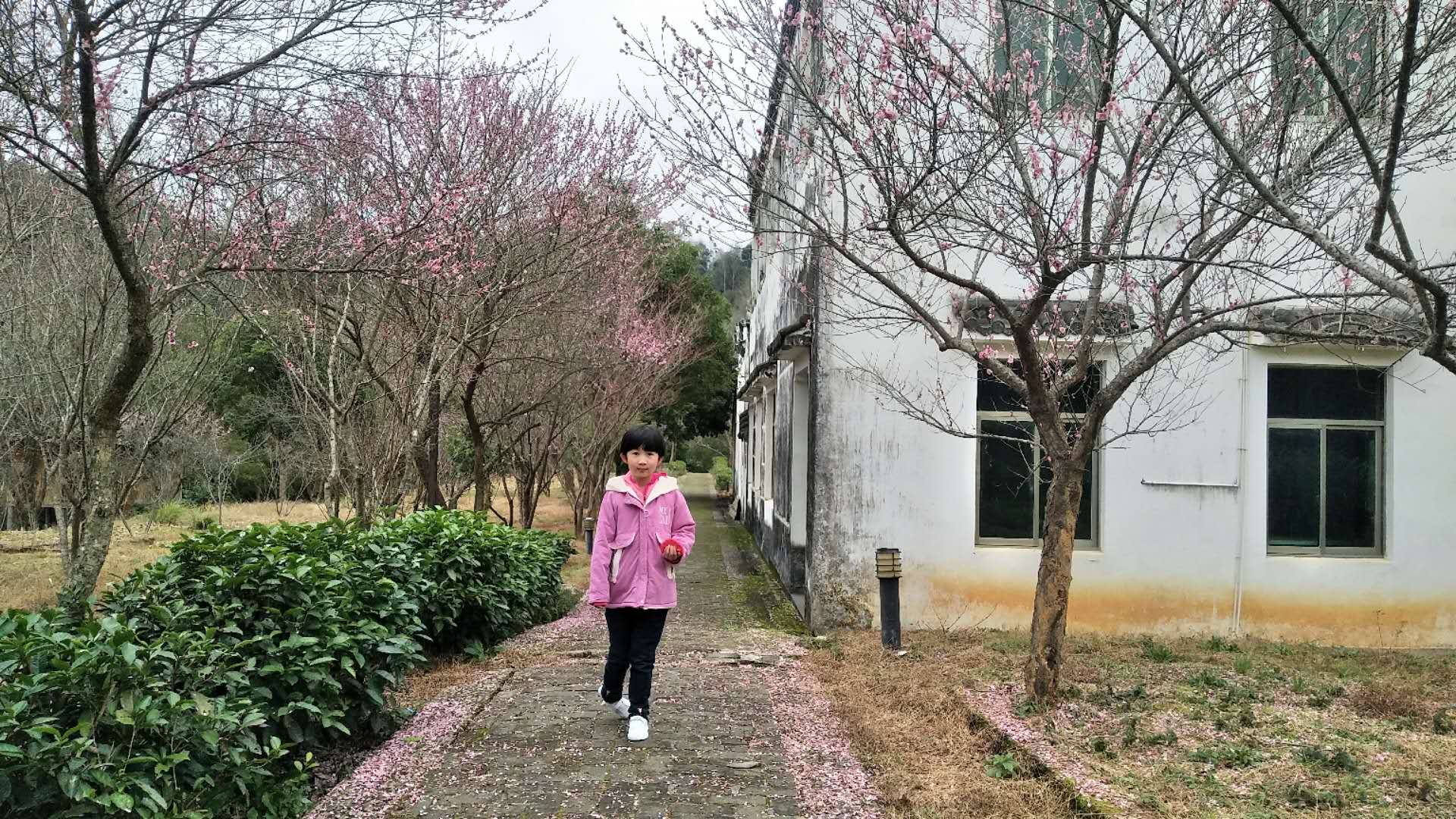 微信图片_20190220165546.jpg